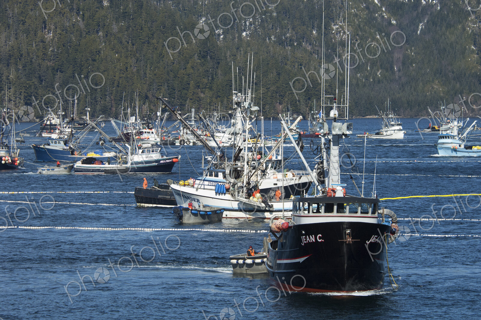 A fleet of herring boats, fishing boats with large net booms