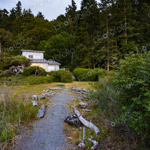A forest trail leading to a house in woodland, among the trees. A forest trail leading to a house in woodland, among the trees.