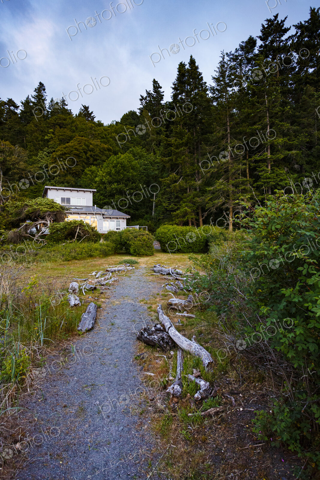 A forest trail leading to a house in woodland, among the trees.