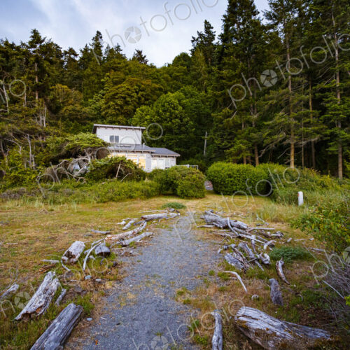 A forest trail leading to a house in woodland, among the trees. A forest trail leading to a house in woodland, among the trees.