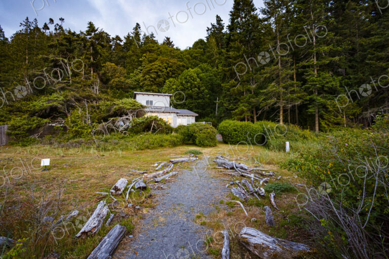 A forest trail leading to a house in woodland, among the trees.