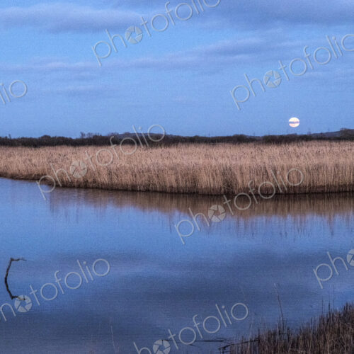 A full moon and water pool in a wetlands nature reserve, with reflections on the water…