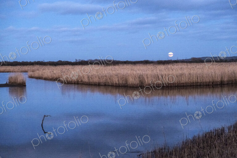 A full moon and water pool in a wetlands nature reserve, with reflections on the water…