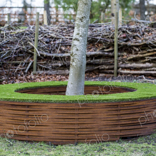A garden in winter, a tree in a planting hole with surrounding wood.