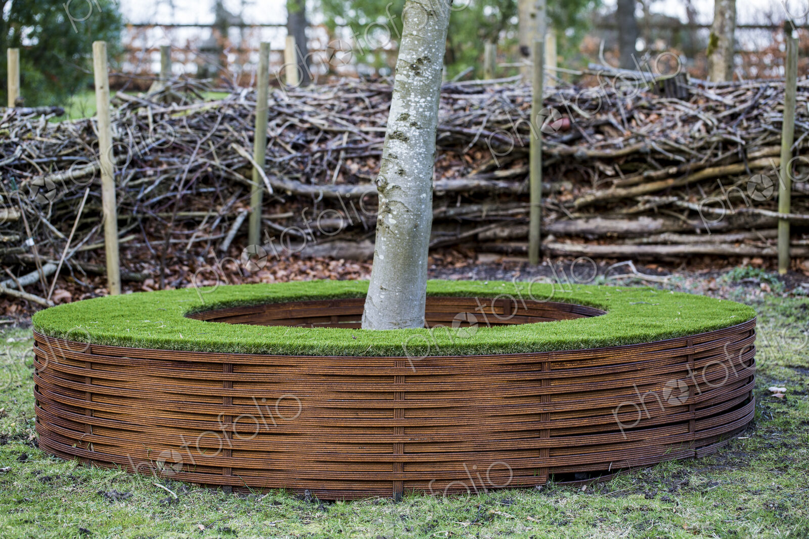 A garden in winter, a tree in a planting hole with surrounding wood.