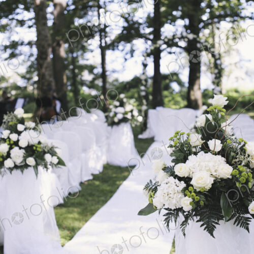 A garden with tables laid under the shade of tall trees, set for a wedding A garden with tables laid under the shade of tall trees, set for a wedding