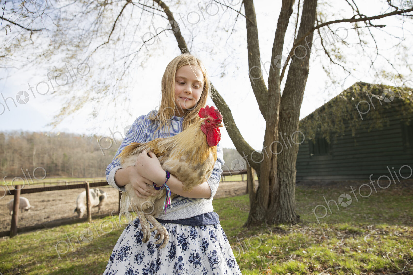 A girl holding a large chicken in an animal enclosure at an animal sanctuary.