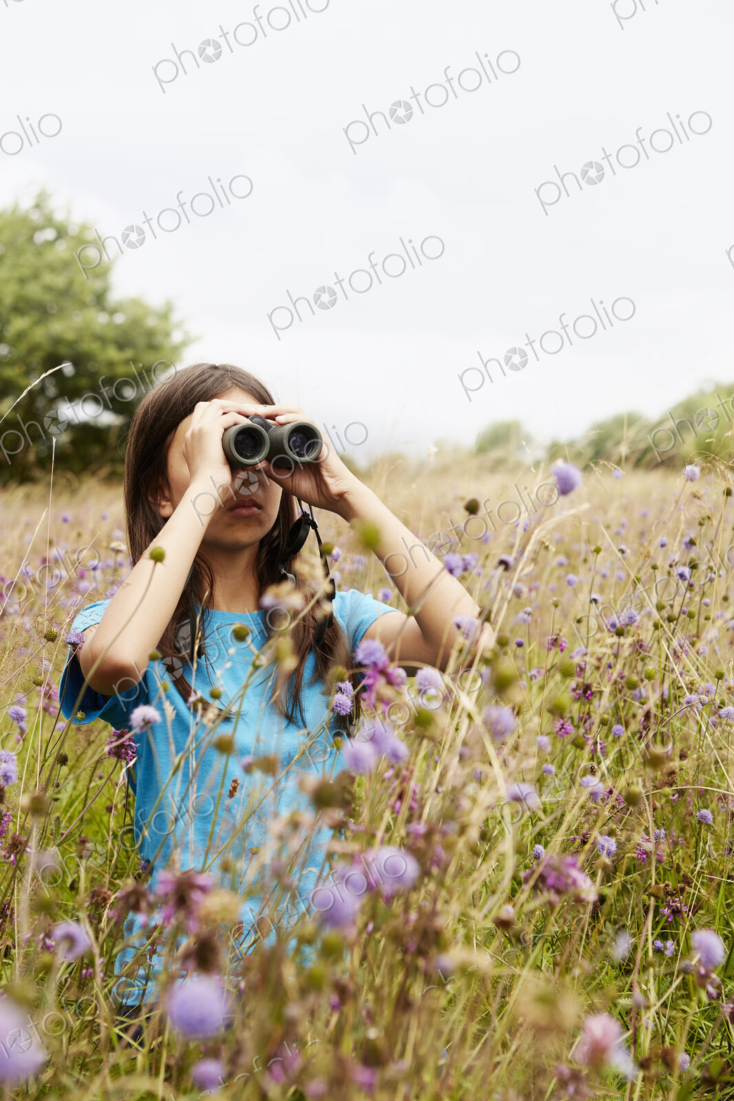A girl holding binoculars, a young bird watcher standing in a meadow of tall grass and…