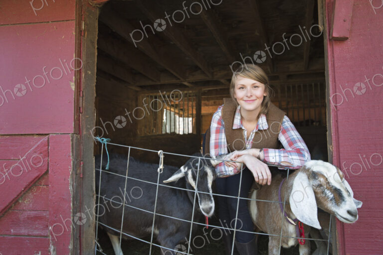 A goat farm. A young girl leaning on the barrier of the goat shed, with two animals…