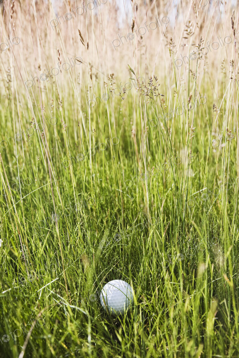 A golf ball sitting in heavy rough on a golf course.