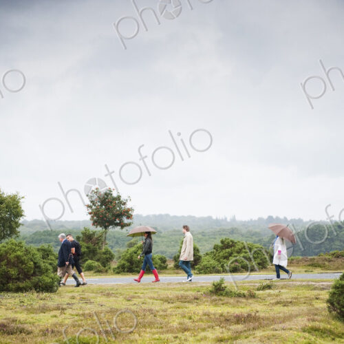 A group of people walking along a country road under umbrellas. Heath land. A group of people walking along a country road under umbrellas. Heath land.
