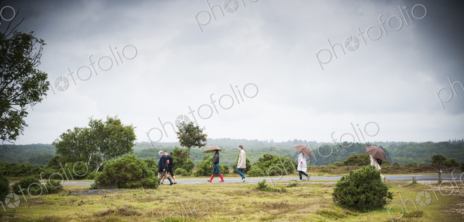 A group of people walking along a country road under umbrellas. Heath land.