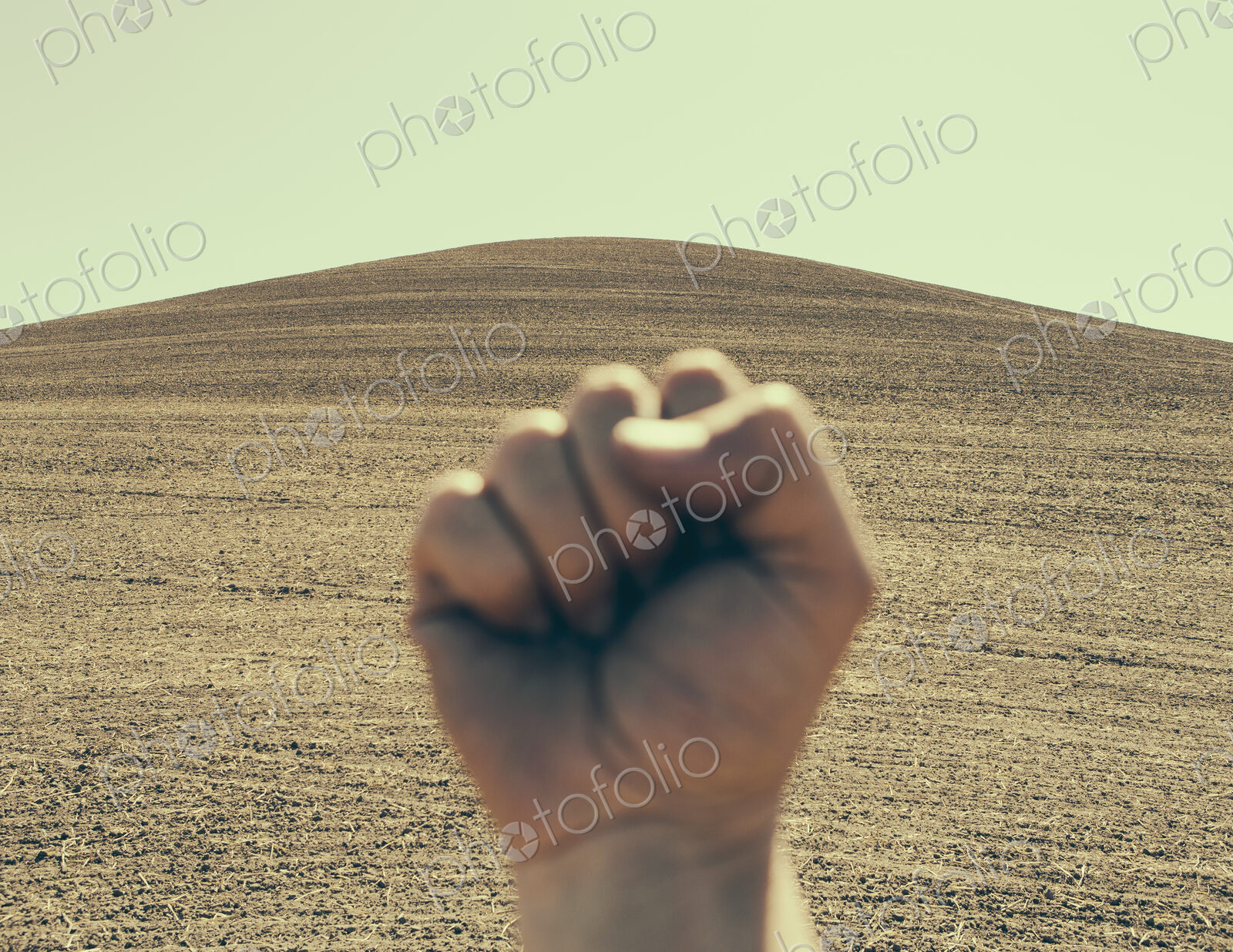 A hand bunched up and making a fist, in a gesture of defiance or determination,…