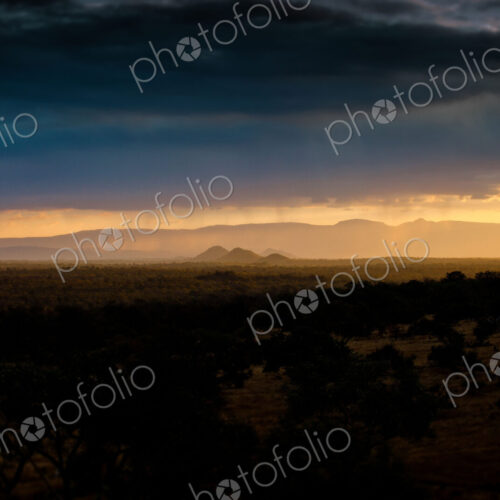 A landscape, dark trees and bushes in foreground, silhoutte of mountains in the…