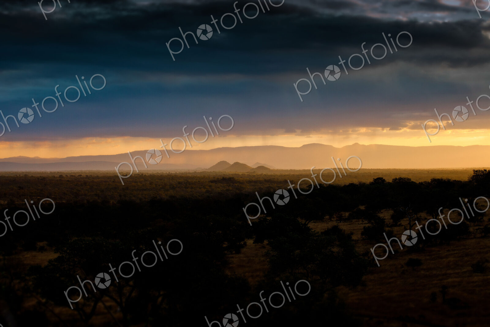 A landscape, dark trees and bushes in foreground, silhoutte of mountains in the…