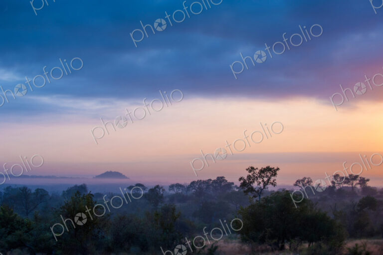 A landscape, dark trees and bushes in foreground, silhoutte of mountains with mist in…
