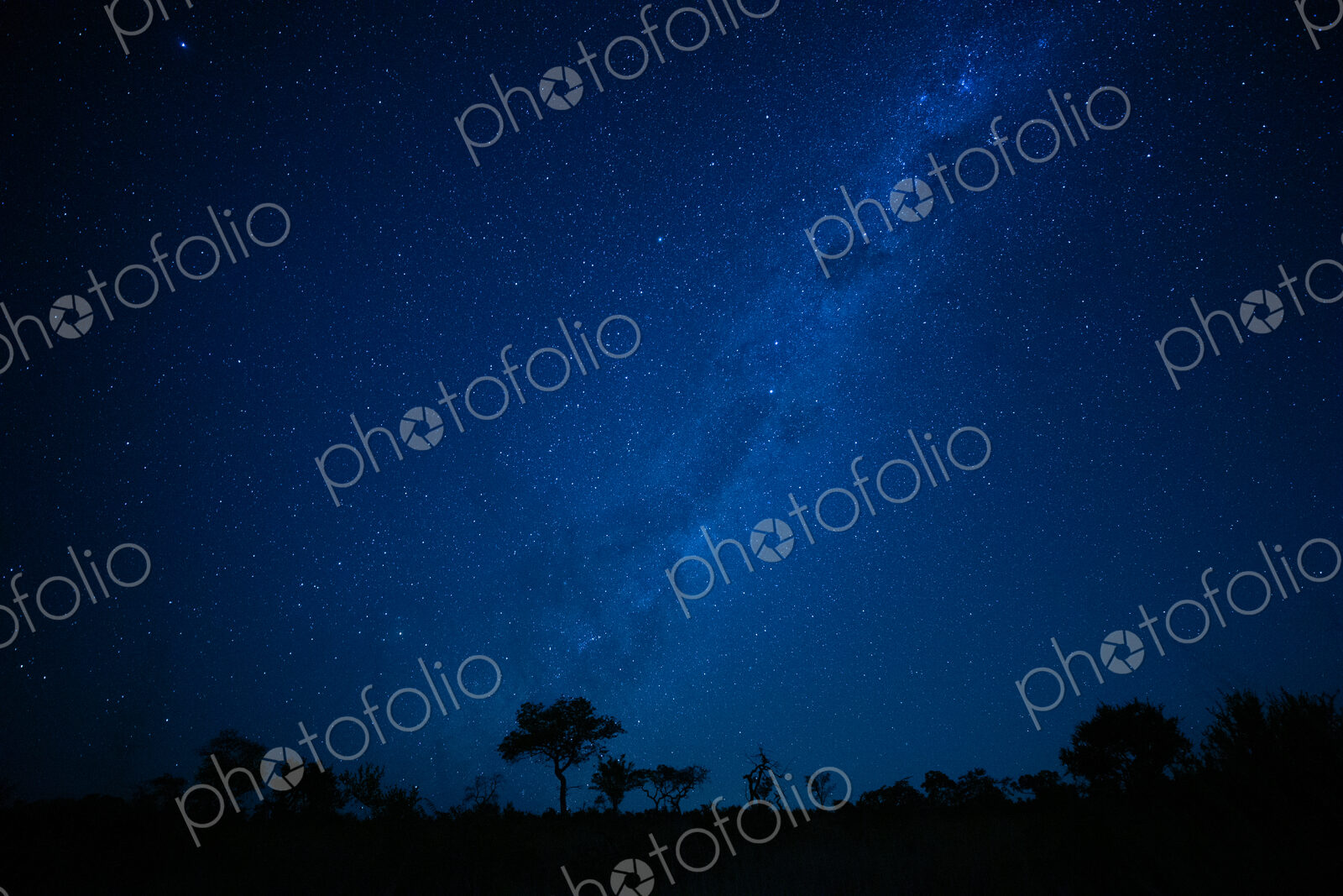 A landscape shot at night, silhouetted trees in the foreground and the Milky Way and…