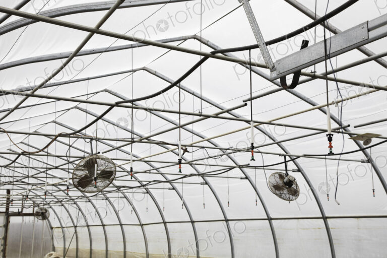 A large commercial plant nursery, polytunnel. Fans in the roof to aid circulation.