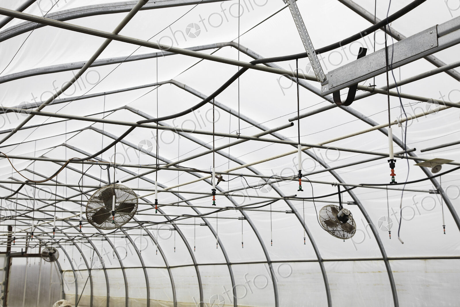 A large commercial plant nursery, polytunnel. Fans in the roof to aid circulation.