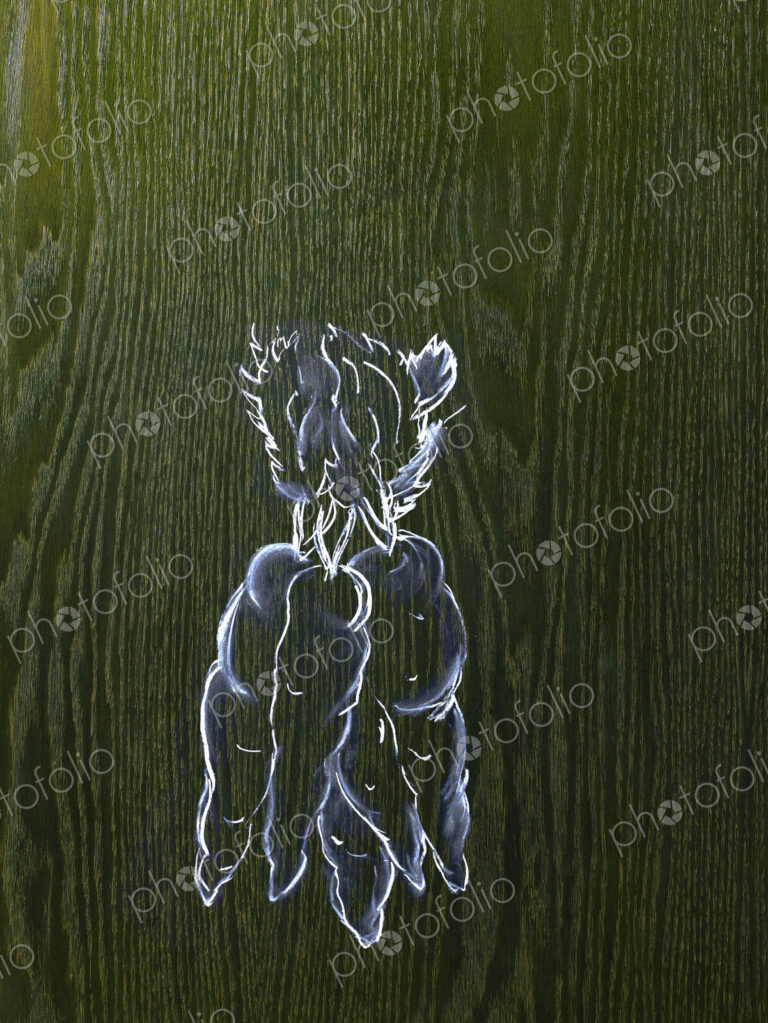 A line drawing image on a natural wood grain background. A bunch of carrots with leafy…