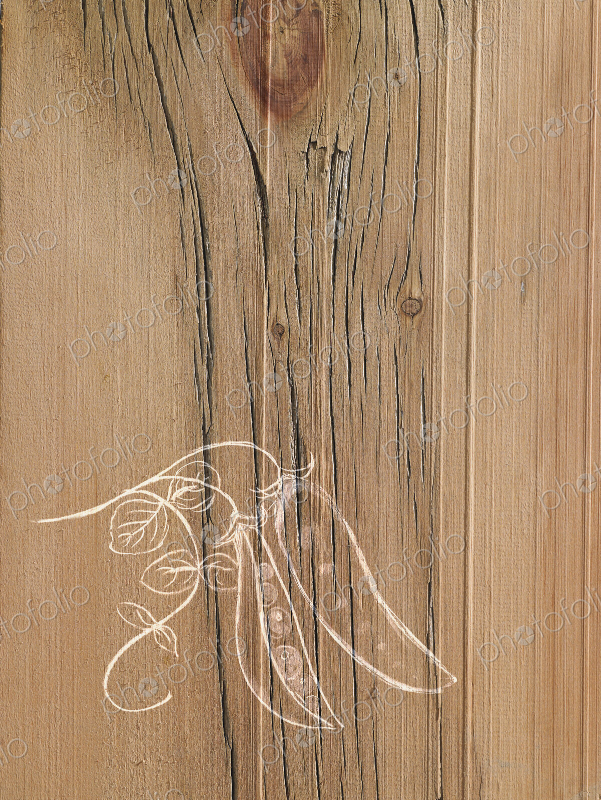 A line drawing image on a natural wood grain background. Fresh peas in a pod on the vine.