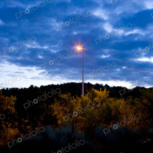 A lit lamp post emerging above the treetops at dusk, Santa Fe. A lit lamp post emerging above the treetops at dusk, Santa Fe.