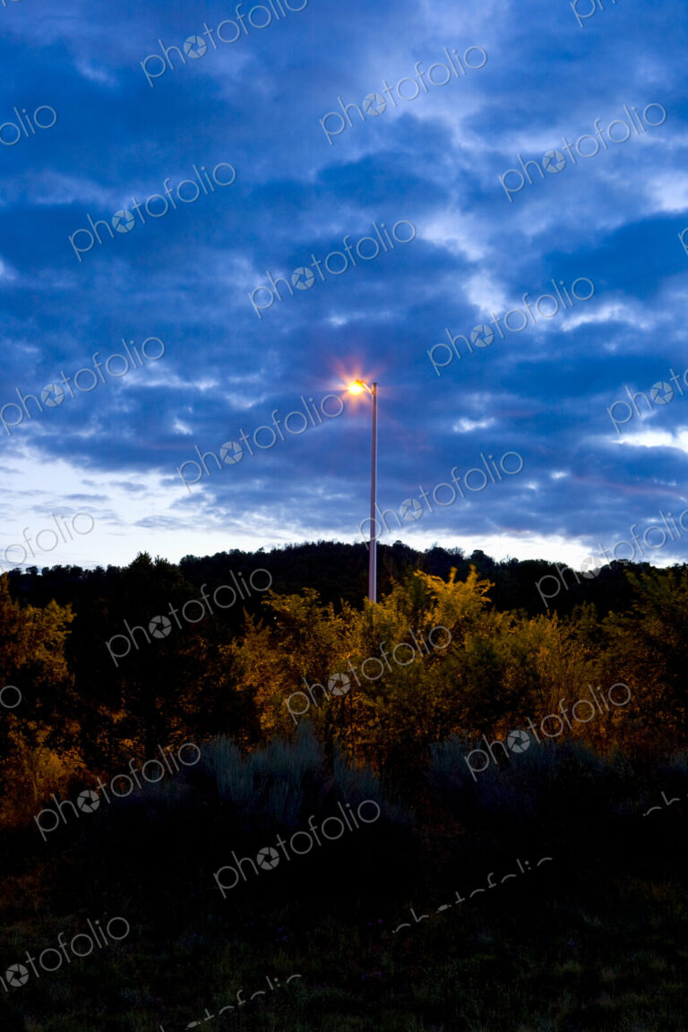 A lit lamp post emerging above the treetops at dusk, Santa Fe.