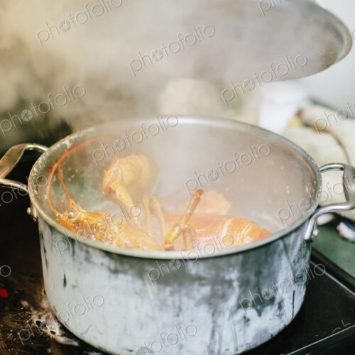 A lobster cooking in a pot. A lobster cooking in a pot.