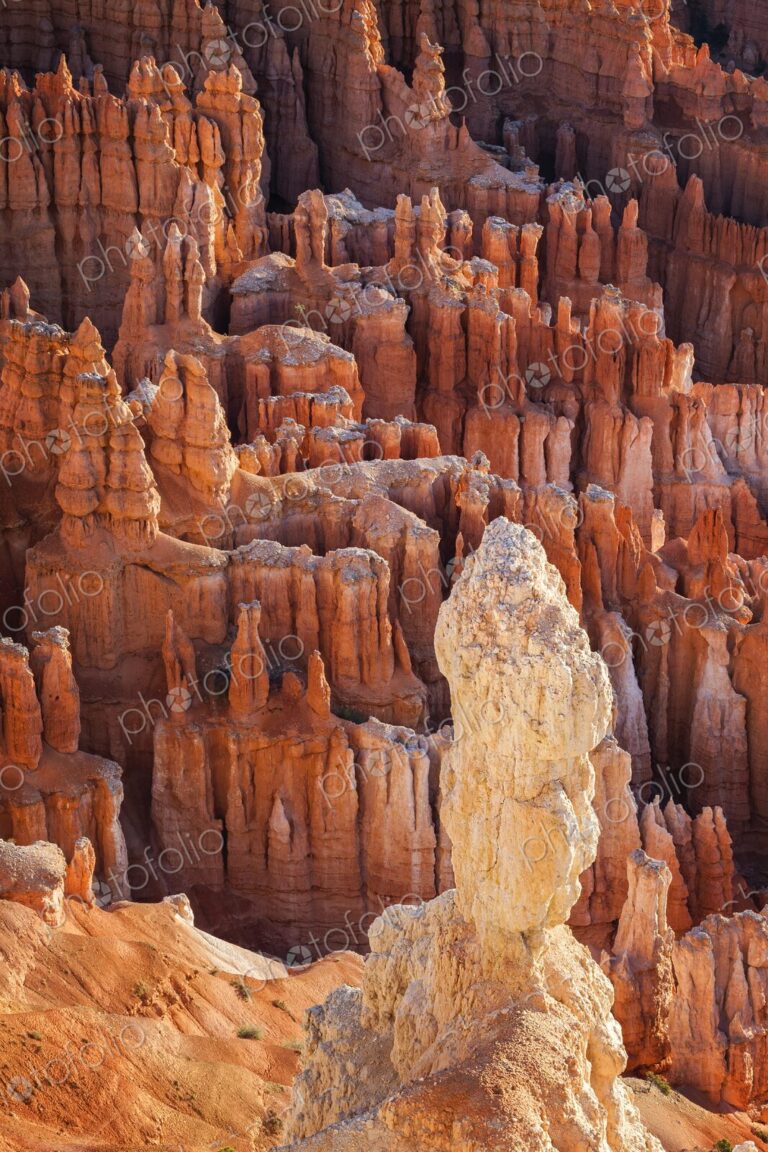 A lone hoodoo stands prominently above a sea of red rock spires in Bryce Canyon, Utah.
