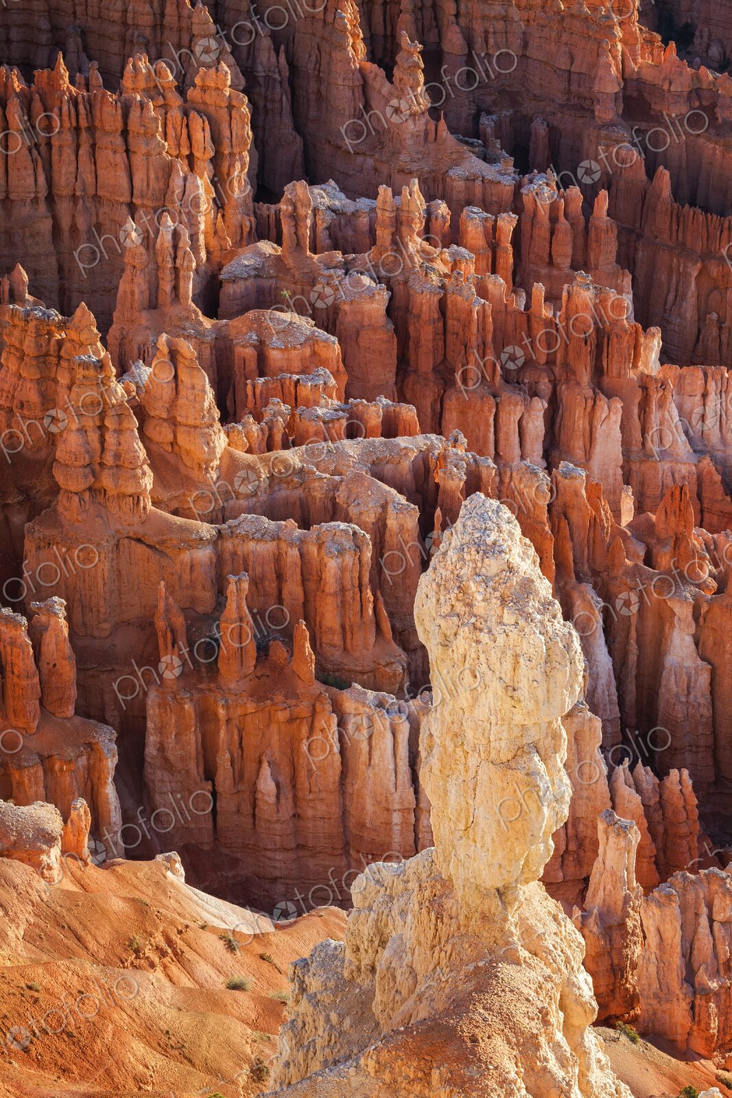A lone hoodoo stands prominently above a sea of red rock spires in Bryce Canyon, Utah.
