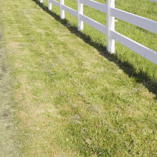 A long white farm fence in countryside surrounding pasture, Hockinson, Washington, USA. A long white farm fence in countryside surrounding pasture, Hockinson, Washington, USA.