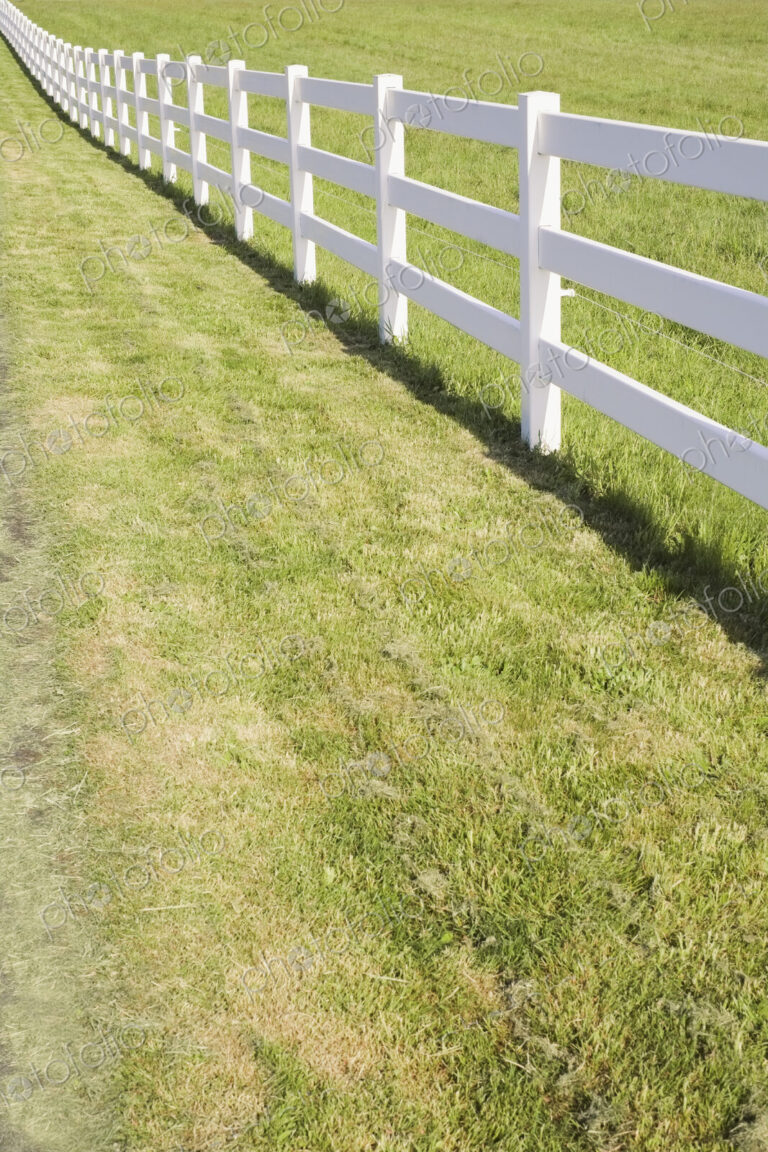 A long white farm fence in countryside surrounding pasture, Hockinson, Washington, USA.