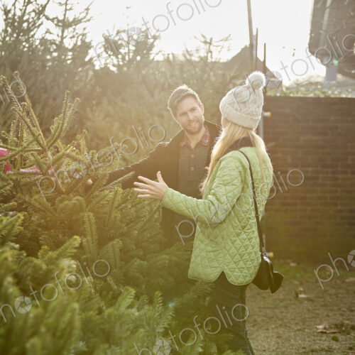 A man and woman choosing a traditional pine tree, Christmas tree A man and woman choosing a traditional pine tree, Christmas tree