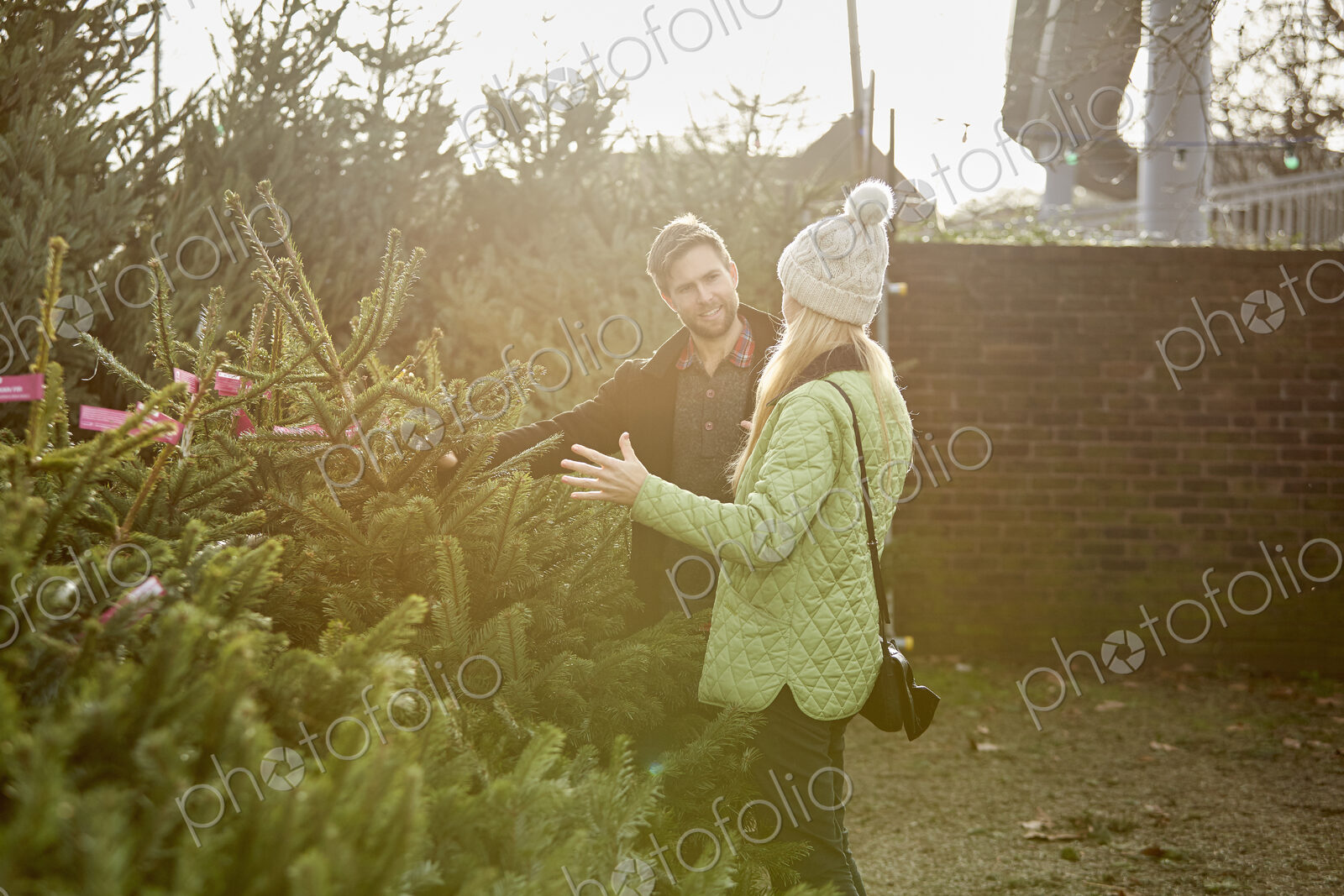 A man and woman choosing a traditional pine tree, Christmas tree
