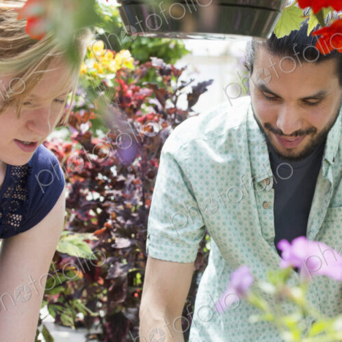 A man and woman in a garden centre, both looking down.