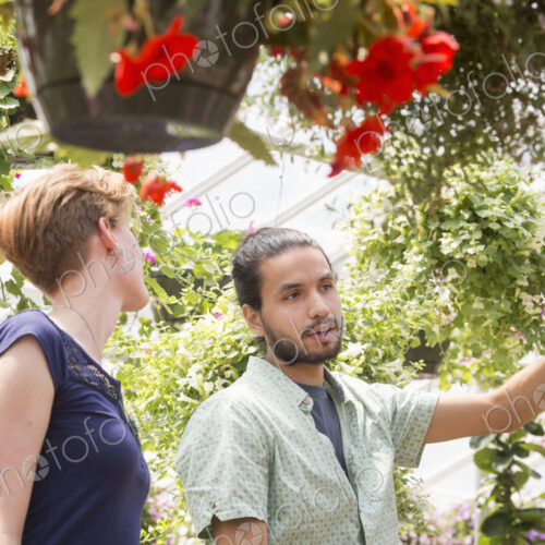 A man and woman looking at colourful flowering plants in a garden centre.