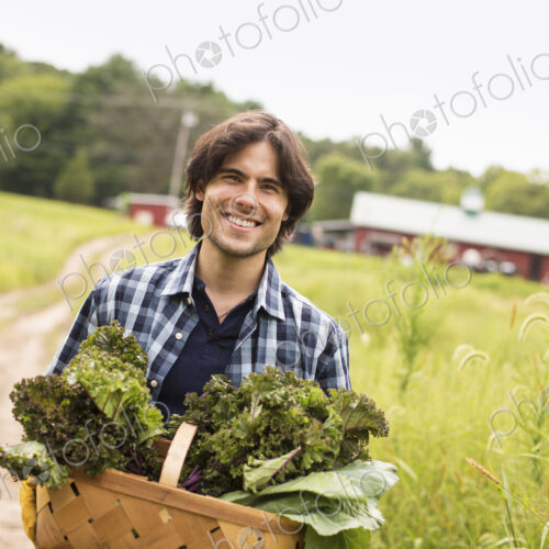 A man carrying a basket full of fresh picked organic vegetables, working on an organic… A man carrying a basket full of fresh picked organic vegetables, working on an organic…