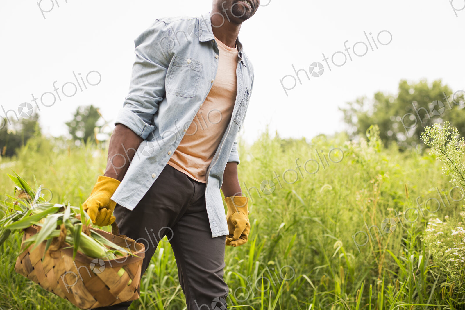 A man carrying a basket full of fresh picked organic vegetables, working on an organic…