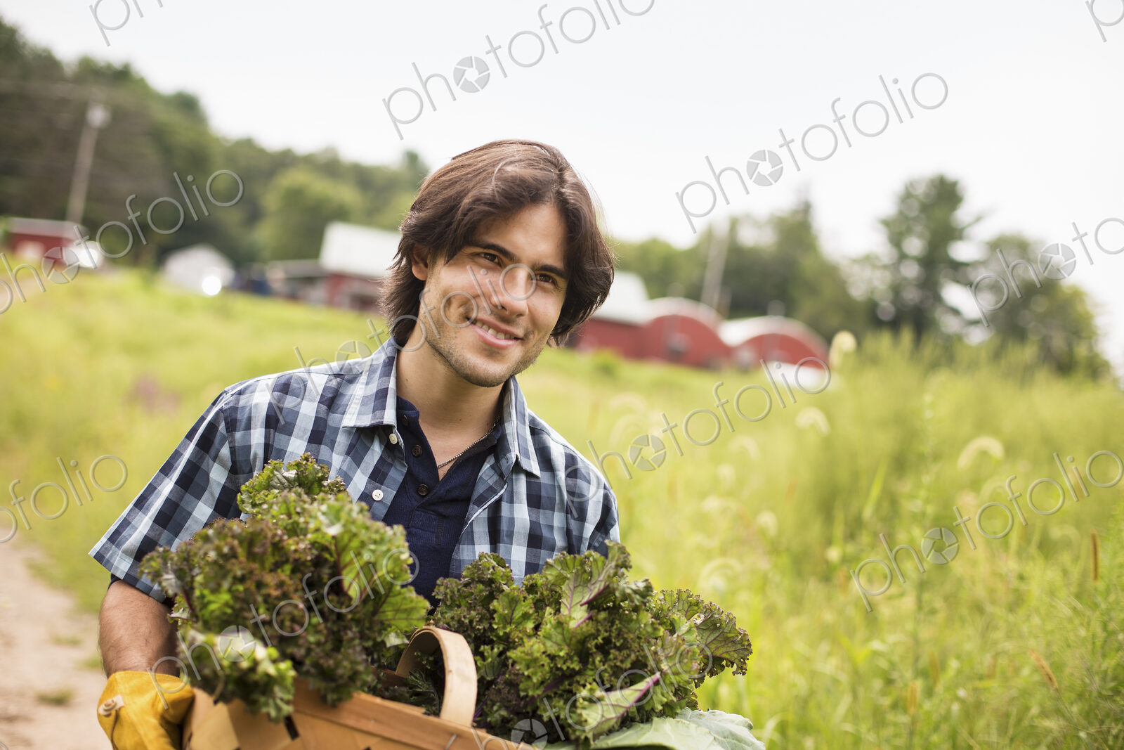 A man carrying a basket full of fresh picked organic vegetables, working on an organic…
