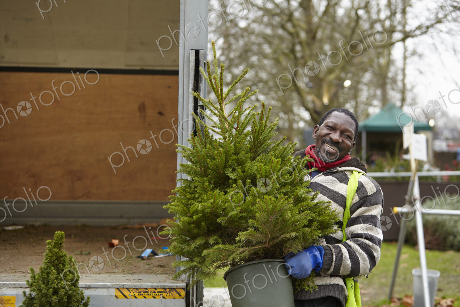 A man carrying a pine tree at a garden centre, a Christmas tree.