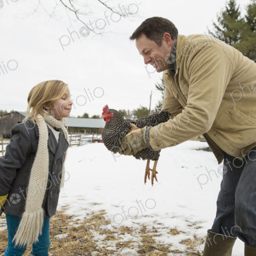 A man holding a chicken in his hands. A girl leaning forwards. Farm in the snow. A man holding a chicken in his hands. A girl leaning forwards. Farm in the snow.