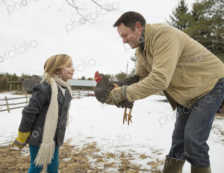 A man holding a chicken in his hands. A girl leaning forwards. Farm in the snow.