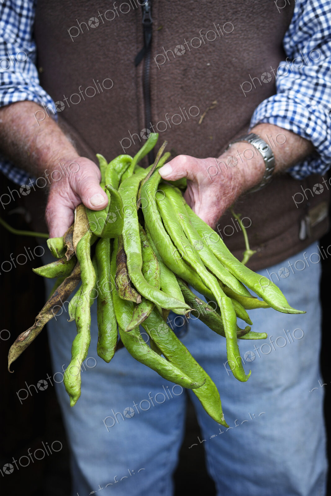 A man holding a handfull of long vivid green runner beans, fresh vegetables.