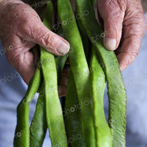 A man holding a handfull of long vivid green runner beans, fresh vegetables.