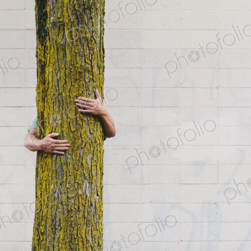 A man hugging a tree on an urban street in Seattle. A man hugging a tree on an urban street in Seattle.