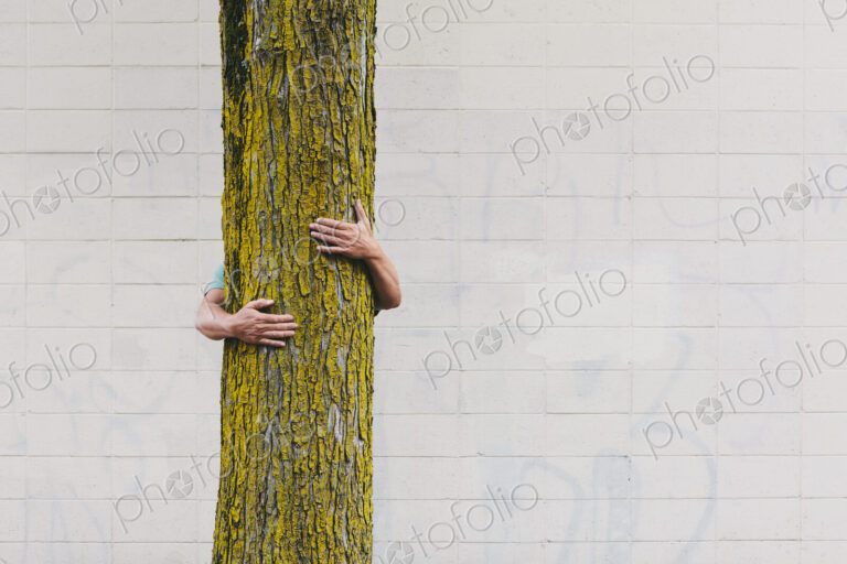 A man hugging a tree on an urban street in Seattle.