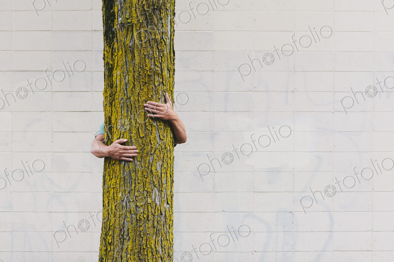 A man hugging a tree on an urban street in Seattle.