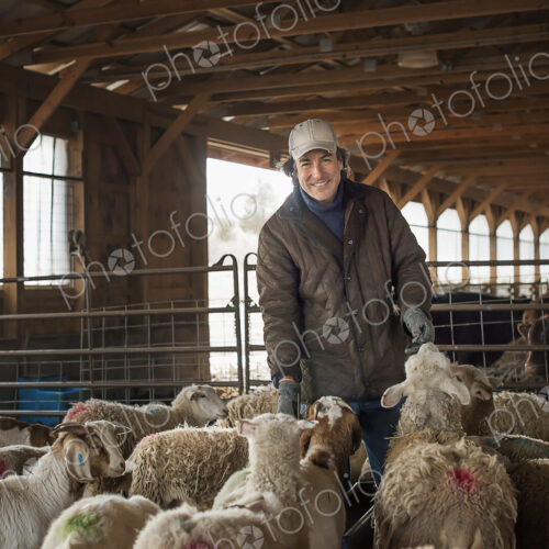A man in the livestock pen under cover, surrounded by goats.