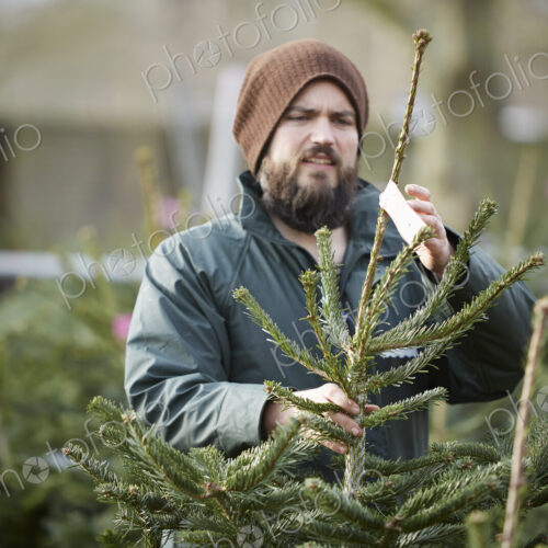 A man in winter hat and waterproof jacket handling a tall Christmas tree. A man in winter hat and waterproof jacket handling a tall Christmas tree.