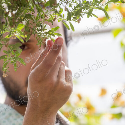A man looking closely at plants in a hanging basket.
